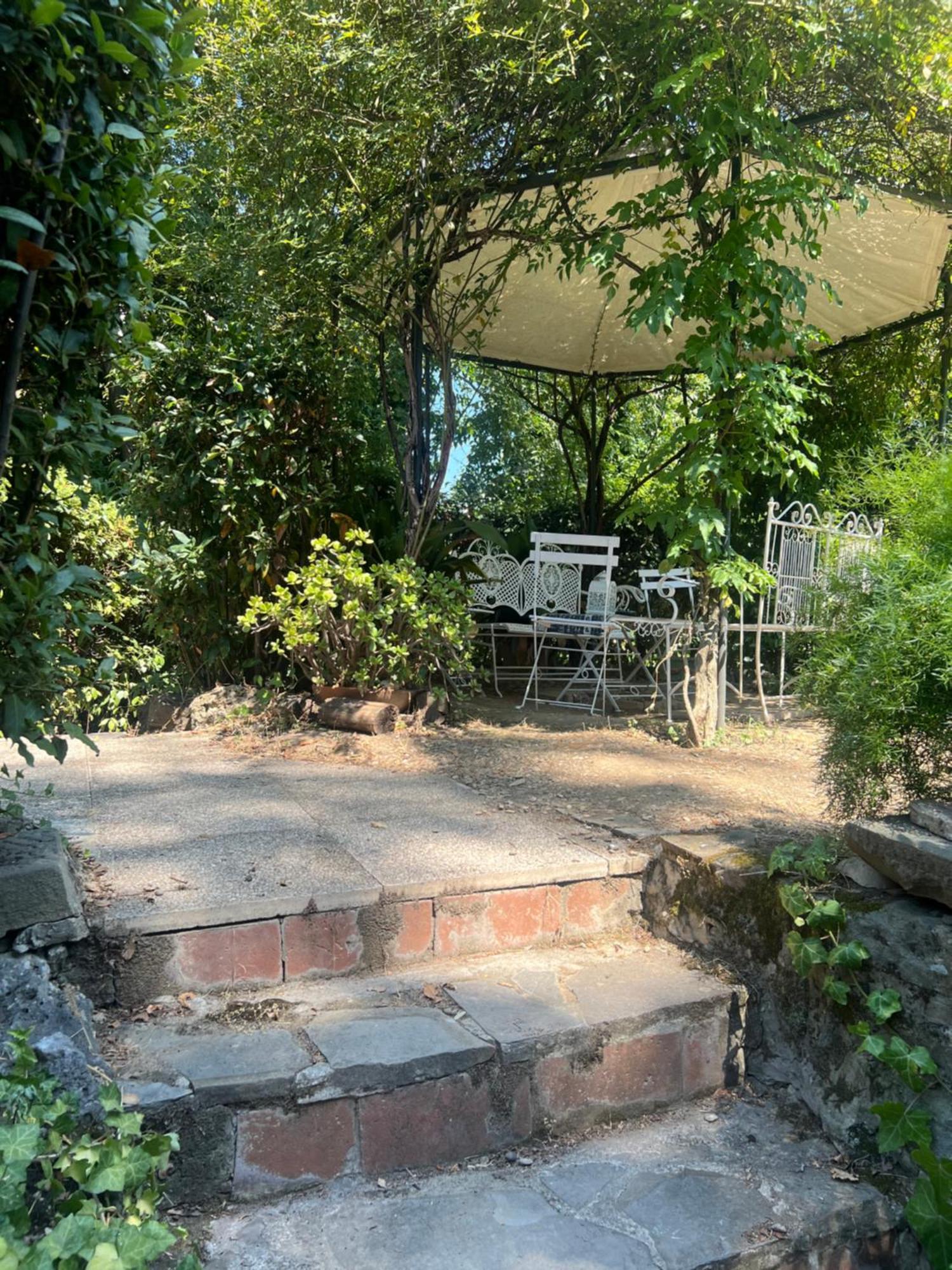 Hotel Villa Liana Firenze Esterno foto